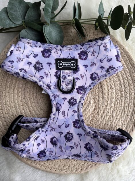 Make a wish Harness – Front